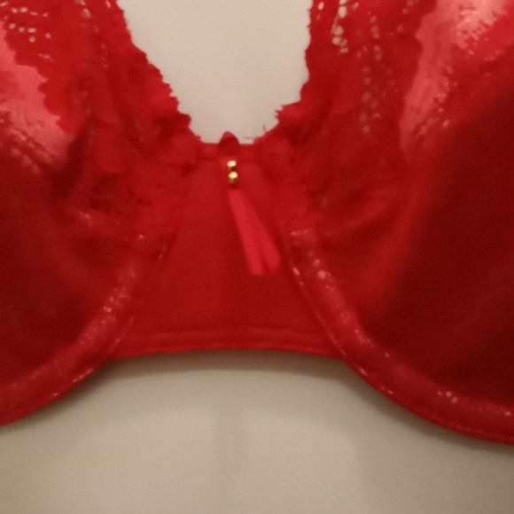 Wacoal Lace & Mesh Pinks Bra - Picture 5 of 16